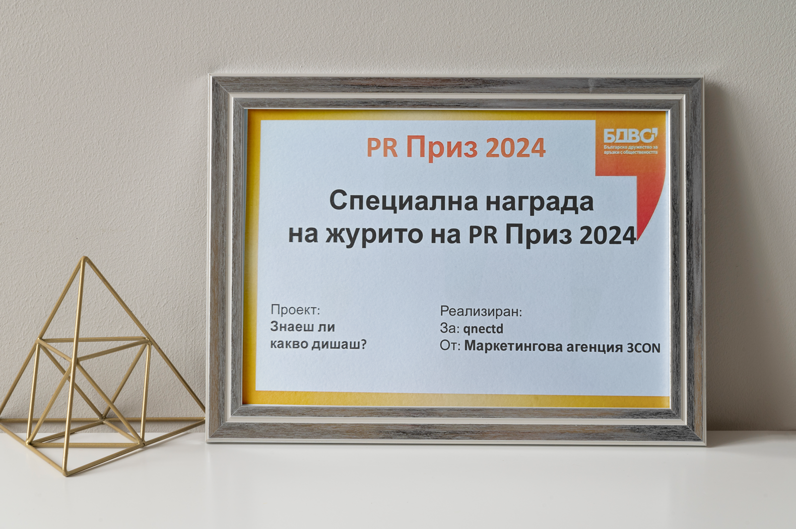 Специална награда на журито на PR Приз 2024
